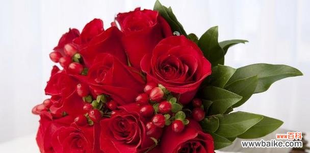 红色玫瑰代表的情感和涵义 红色玫瑰的花语