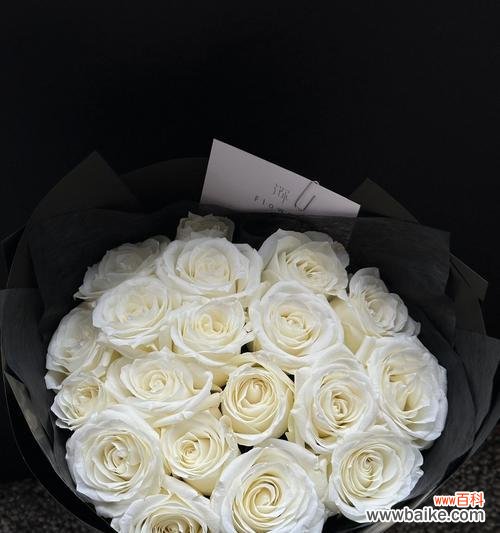 节日送玫瑰花代表什么？节日送玫瑰的寓意是什么？