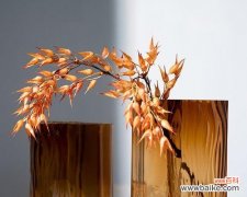 琥珀色的花代表什么？琥珀色花的含义是什么？