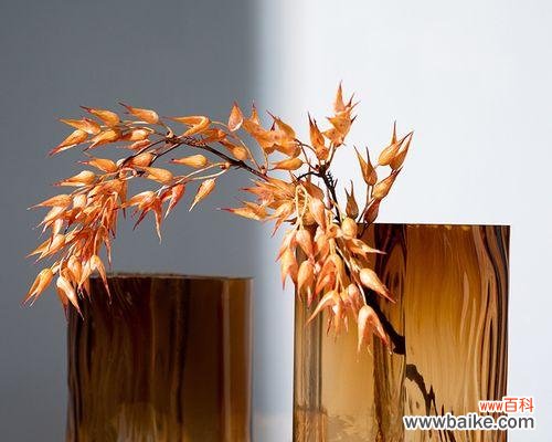 琥珀色的花代表什么?琥珀色花的含义是什么?