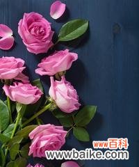 粉红色花在床头背景中的寓意是什么?