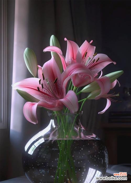 哪种花被誉为最幸福的花,其花语和寓意是什么?