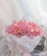 各色满天星的花语与人生寄托 《花开满天星，芬芳的寓意》