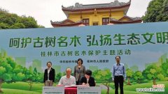 珍贵遗产的守护者——为未来生态留下足迹 古树名木保护的重要意义