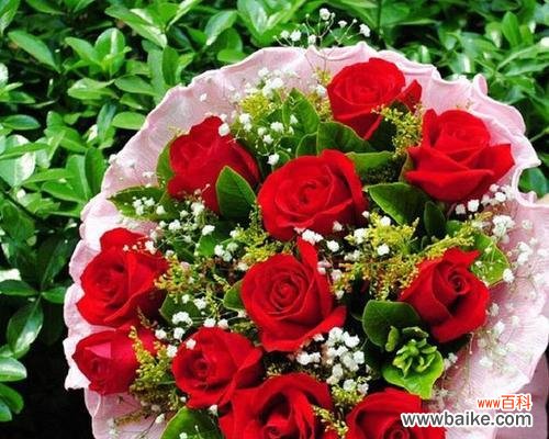 用花语传达真情实感的艺术 十朵玫瑰花语意思解读