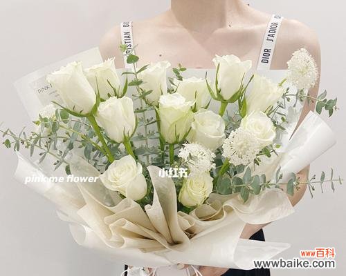用11朵白玫瑰传递爱 白玫瑰的花语意义与传达方式