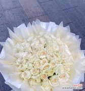 11朵白玫瑰的花语与意义