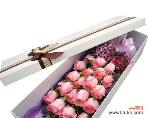 探索粉色玫瑰的花语 粉色玫瑰的花语-传递爱与温柔的象征