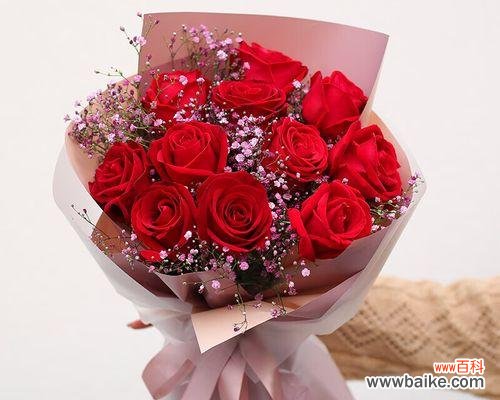 以11朵红玫瑰代表什么 红玫瑰的寓意与象征