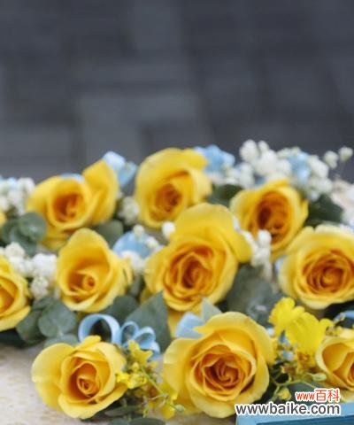 向爱表白 11朵黄玫瑰的花语意思