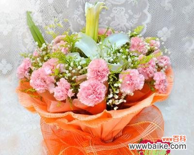 康乃馨花语与寓意解析 11朵康乃馨的象征意义