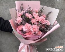 康乃馨花语与寓意解析 11朵康乃馨的象征意义