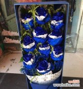 揭开11朵蓝色妖姬的神秘面纱 蓝色妖姬的象征意义及美学价值剖析