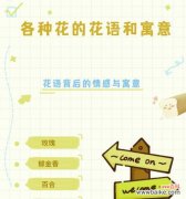 玫瑰花不同颜色的含义是什么？玫瑰花色的象征意义有哪些？