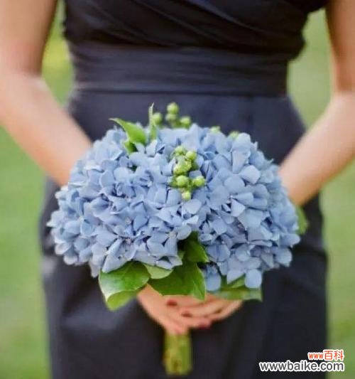 蓝色和黄色手捧花的寓意是什么？