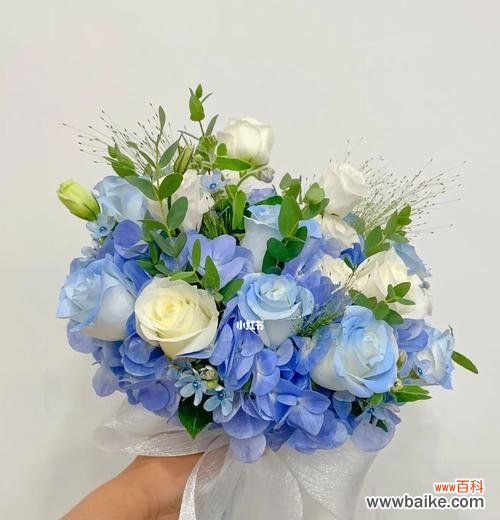 蓝色和黄色手捧花的寓意是什么？