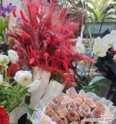 什么花象征着快乐的微笑？如何选择寓意快乐的花卉？