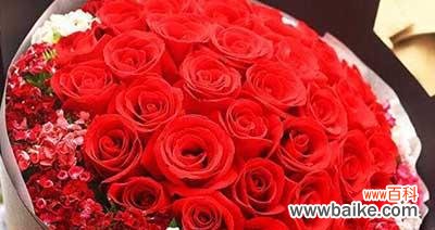 解读11朵玫瑰花的神秘讯息 探寻玫瑰花语的深层含义