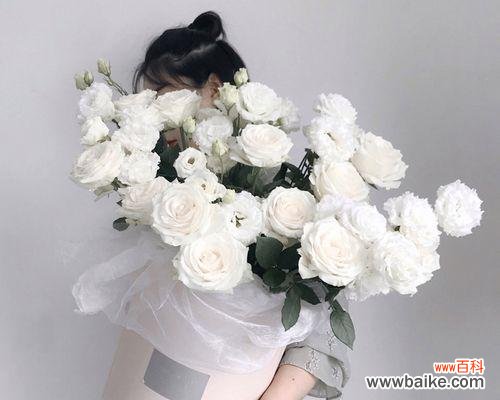 解读11朵玫瑰花的神秘讯息 探寻玫瑰花语的深层含义