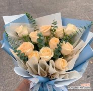 浪漫之情与爱的誓言 11朵玫瑰花的寓意