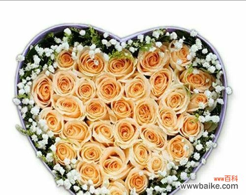 探寻11朵香槟玫瑰背后的情感宣言 香槟玫瑰的花语之美