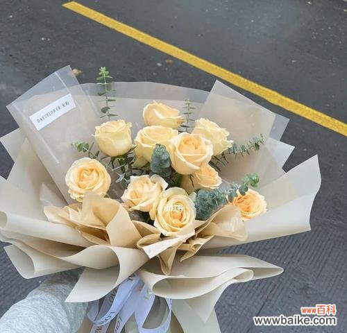 浪漫缭绕的花语和情感倾诉 11朵香槟玫瑰的深刻意义