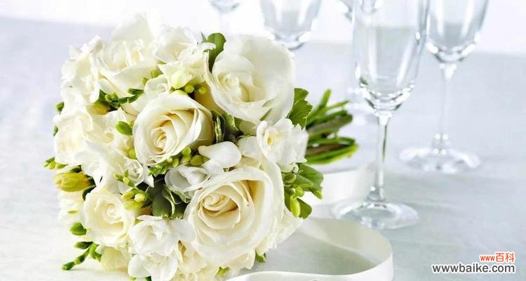 用花语讲述爱的情感 12朵玫瑰花的花语