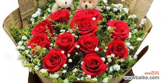 解读12朵玫瑰花语 爱意绽放