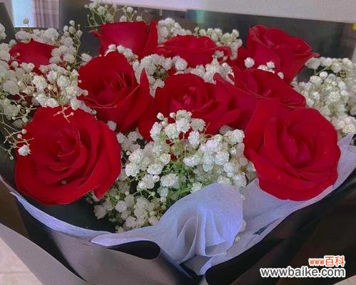 红玫瑰的各种含义以及所传递的情感 13朵红玫瑰的象征意义