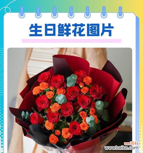 各色玫瑰花代表的寓意是什么?