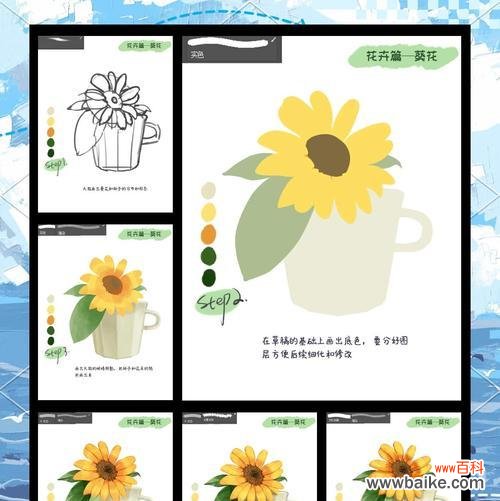 黄色太阳花杯子的寓意是什么？如何挑选？