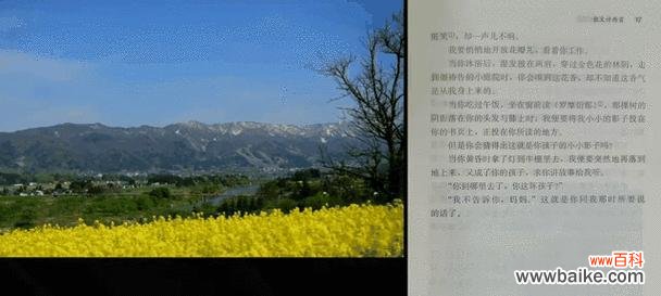 金色花第五段有何特别含义?金色花的第五段花语是什么?