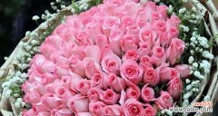 花开寓意美好人生 17朵玫瑰的深刻寓意