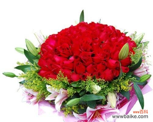 探秘16朵玫瑰花的含义与情感表达 玫瑰花的寓意与象征