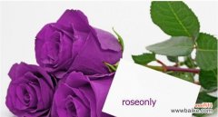 用花语传递爱意 深情告白，16朵玫瑰的花语含义