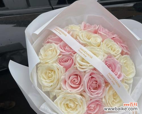 探索19朵粉玫瑰花所代表的各种含义与情感 19朵粉玫瑰花的象征意义及寓意