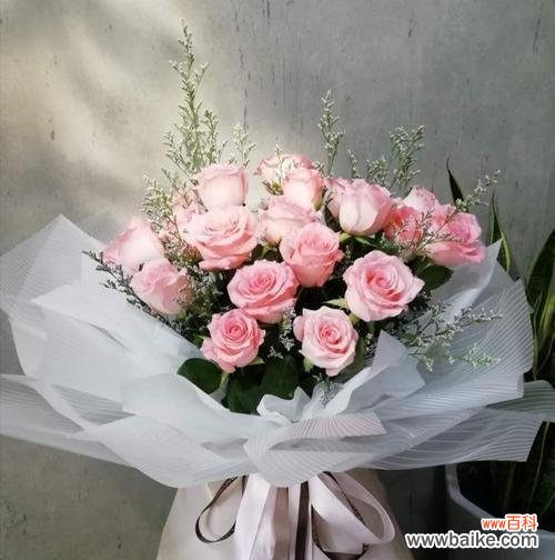 花开的约定 19朵粉玫瑰的花语——爱情的永恒誓言