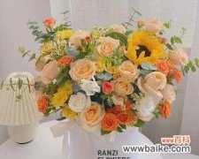 探索19朵粉色玫瑰所代表的深刻内涵 粉色玫瑰的象征意义