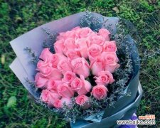 探索19朵粉玫瑰的含义与魅力 粉玫瑰