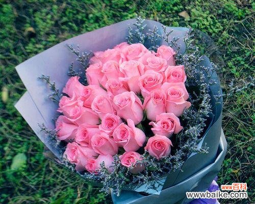 探索19朵粉玫瑰的含义与魅力 粉玫瑰
