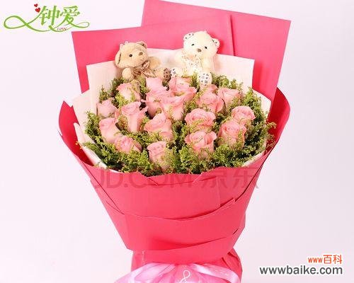 探索19朵粉玫瑰的含义与魅力 粉玫瑰