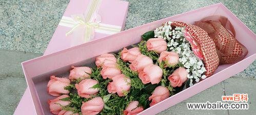 探索19朵粉玫瑰的含义与魅力 粉玫瑰