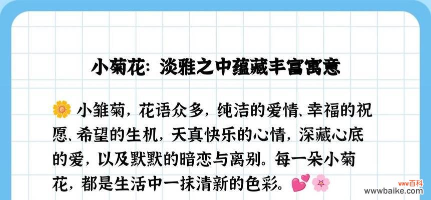 小菊的吉祥花语是什么？