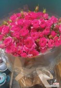 送玫红色玫瑰花的意义是什么？玫红色玫瑰花代表什么？