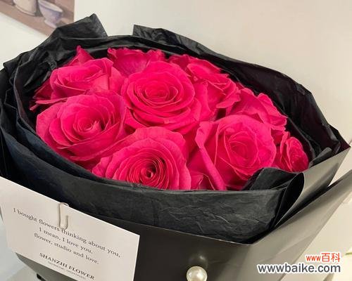 送玫红色玫瑰花的意义是什么?玫红色玫瑰花代表什么?