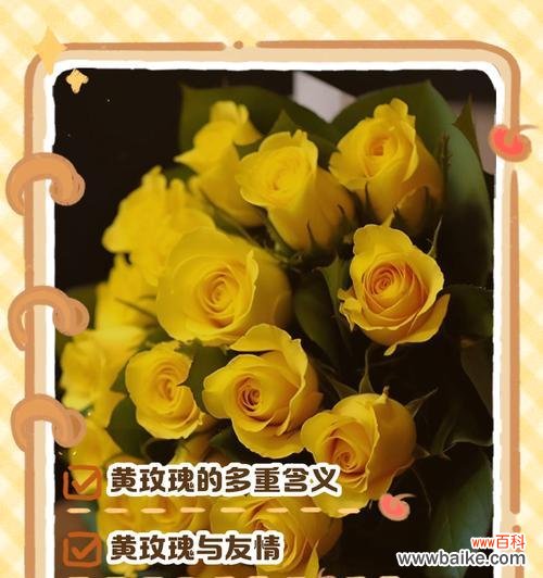 嫩黄色玫瑰花代表什么?它的花语是什么?