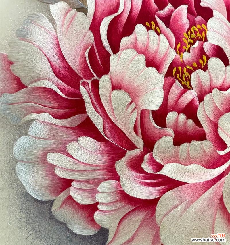 牡丹花七色分别代表什么寓意？