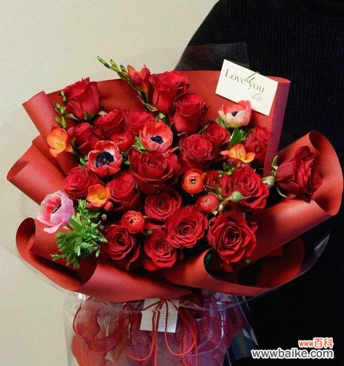 红玫瑰传递的情感与美丽 19朵红玫瑰的花语含义——爱的永恒之花