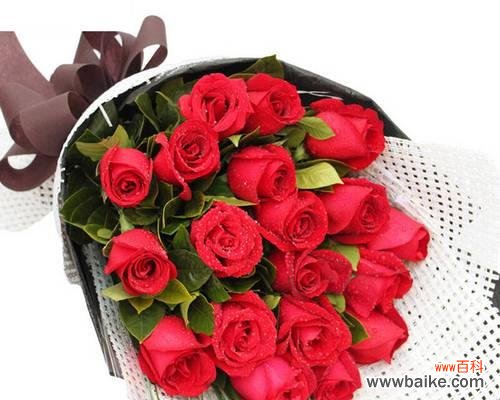 红玫瑰传递的情感与美丽 19朵红玫瑰的花语含义——爱的永恒之花