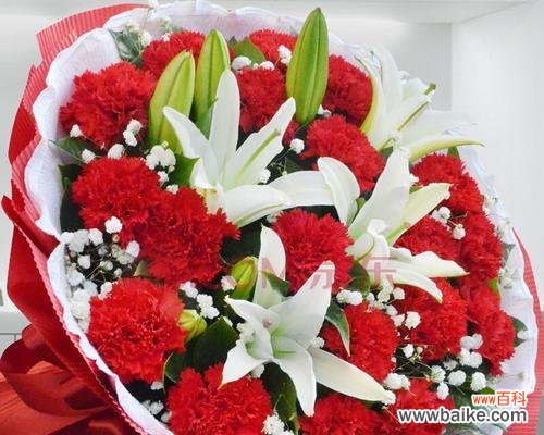 用19朵康乃馨解读人生与情感的沉浮 康乃馨的寓意与象征意义